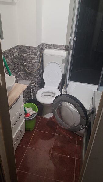 1 Decembrie 1918, Ozana